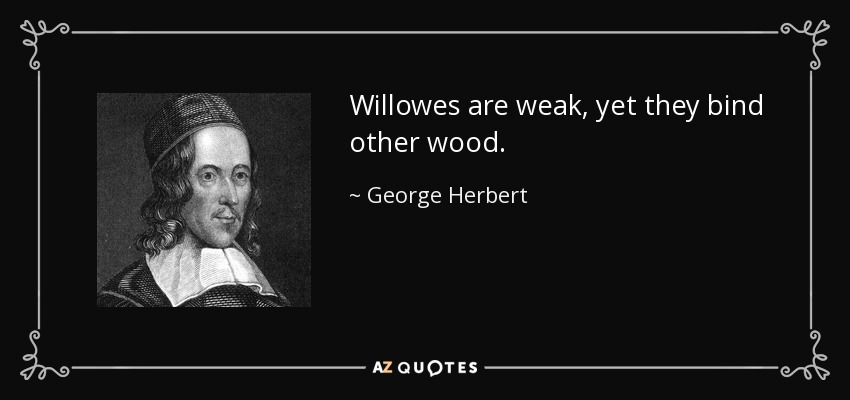Willowes are weak, yet they bind other wood. - George Herbert