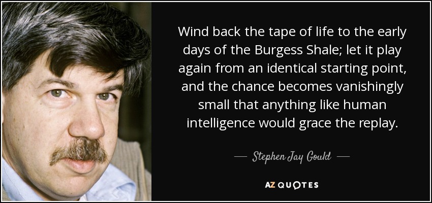 Wind back the tape of life to the early days of the Burgess Shale; let it play again from an identical starting point, and the chance becomes vanishingly small that anything like human intelligence would grace the replay. - Stephen Jay Gould