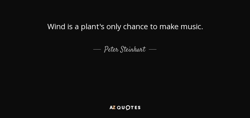 Wind is a plant's only chance to make music. - Peter Steinhart