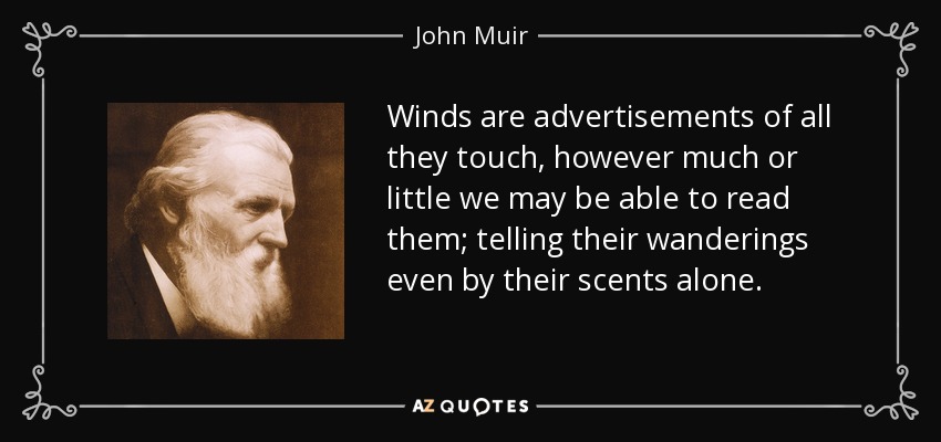 Winds are advertisements of all they touch, however much or little we may be able to read them; telling their wanderings even by their scents alone. - John Muir
