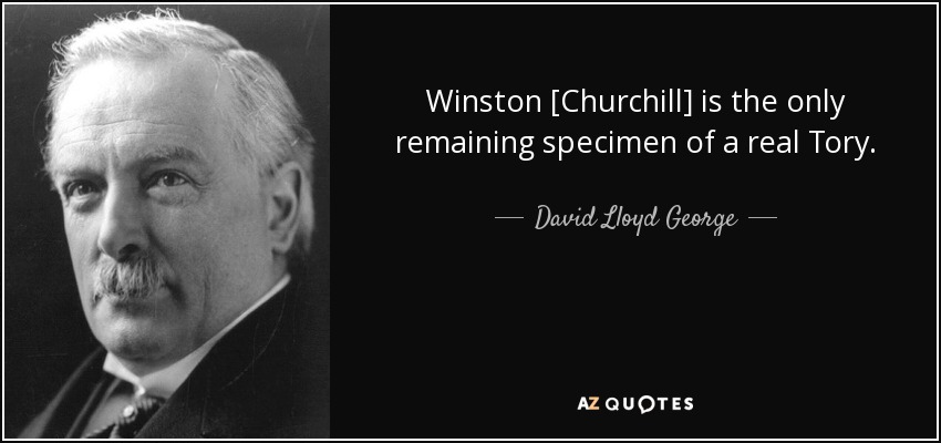 Winston [Churchill] is the only remaining specimen of a real Tory. - David Lloyd George