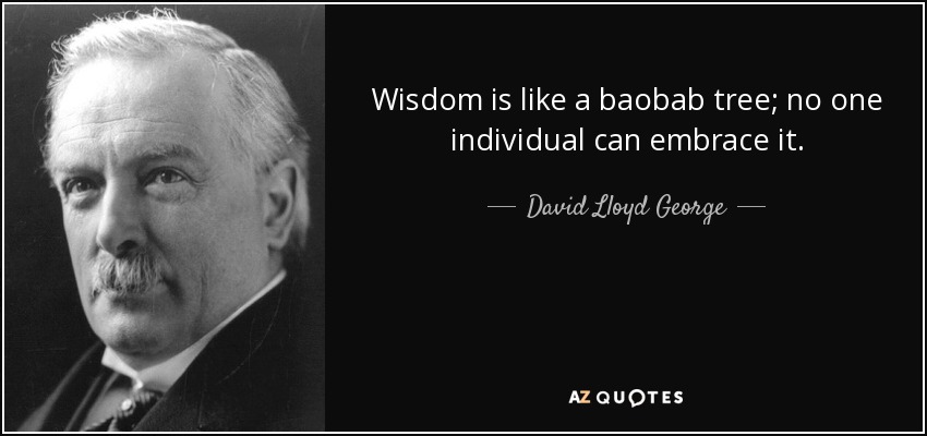Wisdom is like a baobab tree; no one individual can embrace it. - David Lloyd George