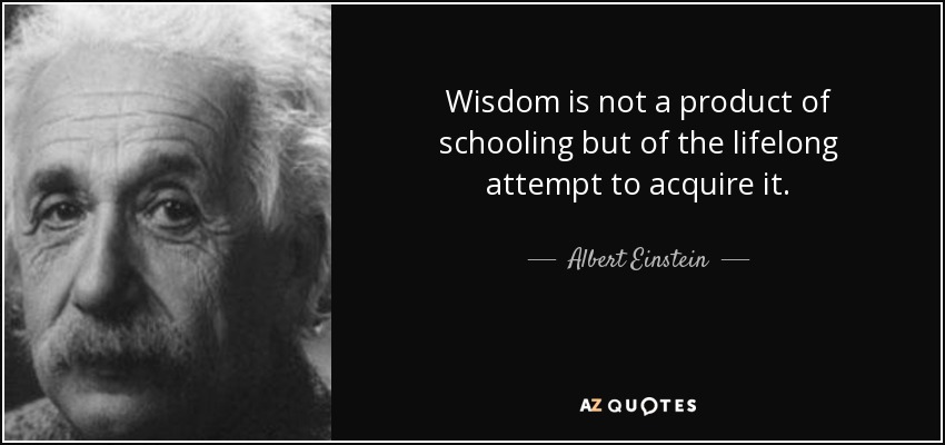Wisdom is not a product of schooling but of the lifelong attempt to acquire it. - Albert Einstein