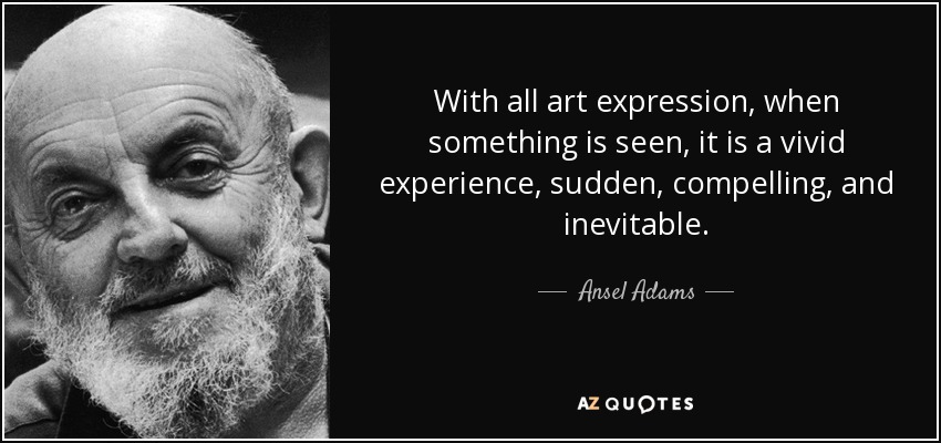 With all art expression, when something is seen, it is a vivid experience, sudden, compelling, and inevitable. - Ansel Adams