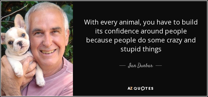 With every animal, you have to build its confidence around people because people do some crazy and stupid things - Ian Dunbar