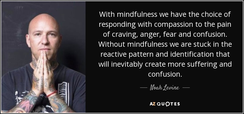 With mindfulness we have the choice of responding with compassion to the pain of craving, anger, fear and confusion. Without mindfulness we are stuck in the reactive pattern and identification that will inevitably create more suffering and confusion. - Noah Levine