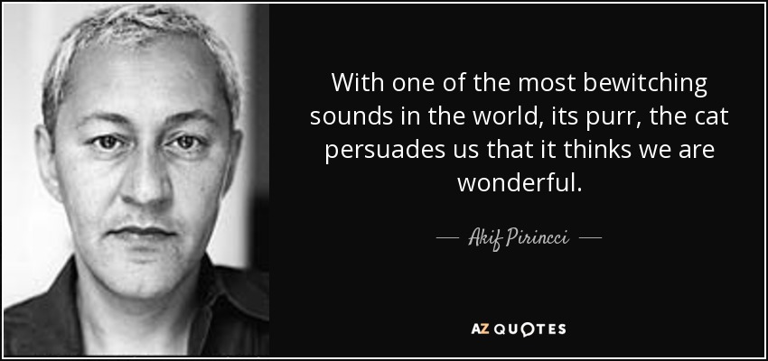 With one of the most bewitching sounds in the world, its purr, the cat persuades us that it thinks we are wonderful. - Akif Pirincci