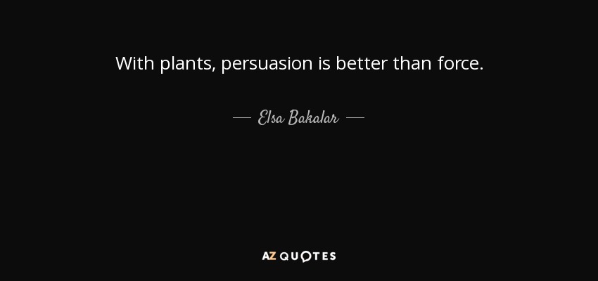 With plants, persuasion is better than force. - Elsa Bakalar