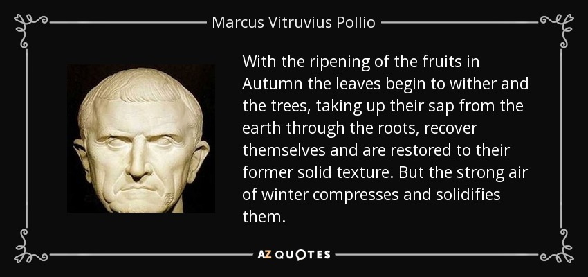 With the ripening of the fruits in Autumn the leaves begin to wither and the trees, taking up their sap from the earth through the roots, recover themselves and are restored to their former solid texture. But the strong air of winter compresses and solidifies them. - Marcus Vitruvius Pollio