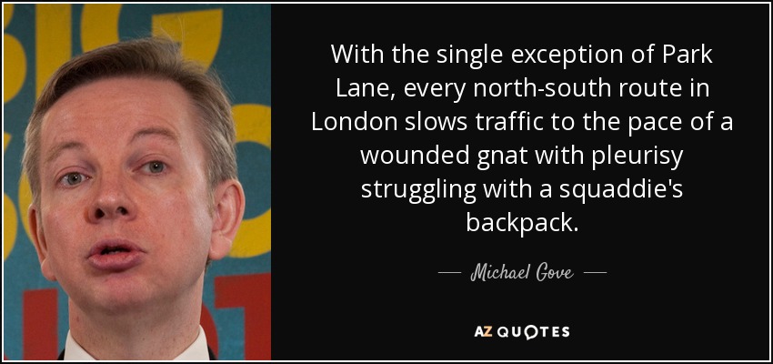 With the single exception of Park Lane, every north-south route in London slows traffic to the pace of a wounded gnat with pleurisy struggling with a squaddie's backpack. - Michael Gove