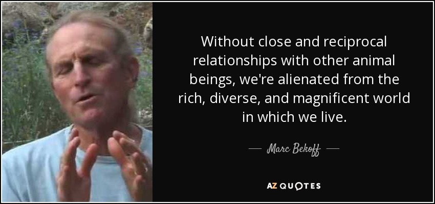 Without close and reciprocal relationships with other animal beings, we're alienated from the rich, diverse, and magnificent world in which we live. - Marc Bekoff