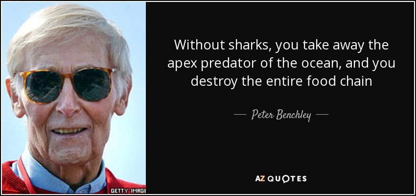 Without sharks, you take away the apex predator of the ocean, and you destroy the entire food chain - Peter Benchley