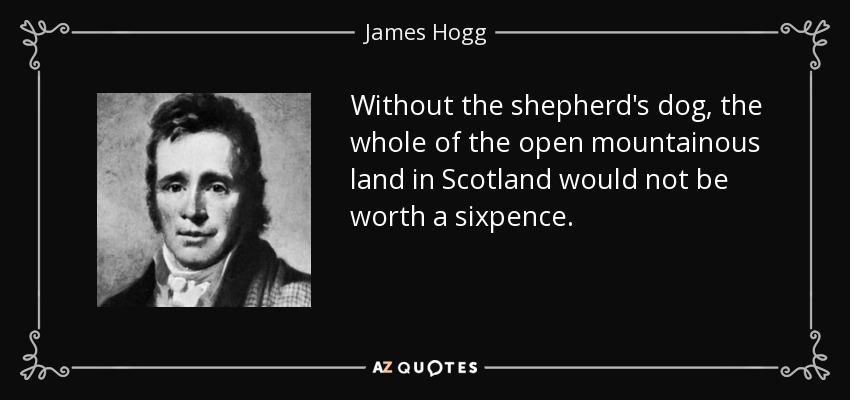 Without the shepherd's dog, the whole of the open mountainous land in Scotland would not be worth a sixpence. - James Hogg