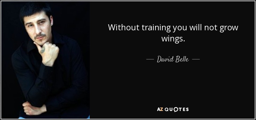 Without training you will not grow wings. - David Belle