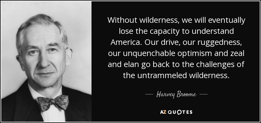 Without wilderness, we will eventually lose the capacity to understand America. Our drive, our ruggedness, our unquenchable optimism and zeal and elan go back to the challenges of the untrammeled wilderness. - Harvey Broome