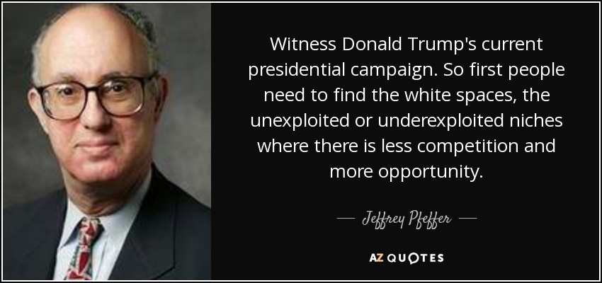 Witness Donald Trump's current presidential campaign. So first people need to find the white spaces, the unexploited or underexploited niches where there is less competition and more opportunity. - Jeffrey Pfeffer