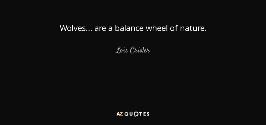 Wolves ... are a balance wheel of nature. - Lois Crisler