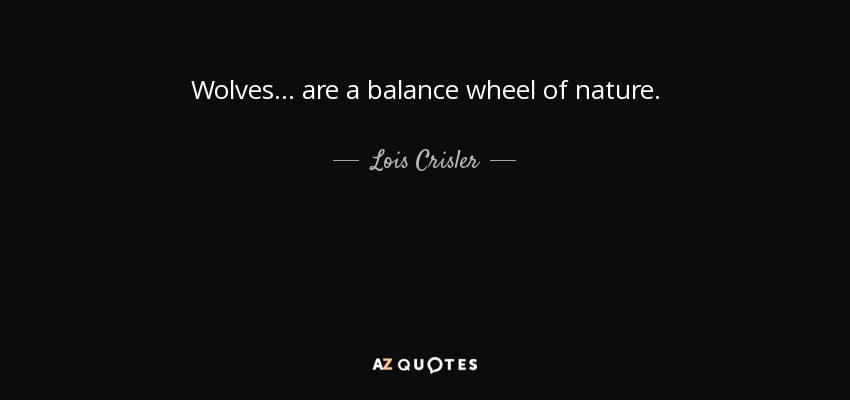 Wolves ... are a balance wheel of nature. - Lois Crisler