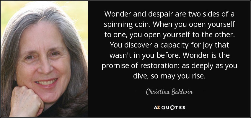 Wonder and despair are two sides of a spinning coin. When you open yourself to one, you open yourself to the other. You discover a capacity for joy that wasn't in you before. Wonder is the promise of restoration: as deeply as you dive, so may you rise. - Christina Baldwin