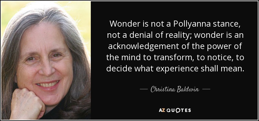 Wonder is not a Pollyanna stance, not a denial of reality; wonder is an acknowledgement of the power of the mind to transform, to notice, to decide what experience shall mean. - Christina Baldwin