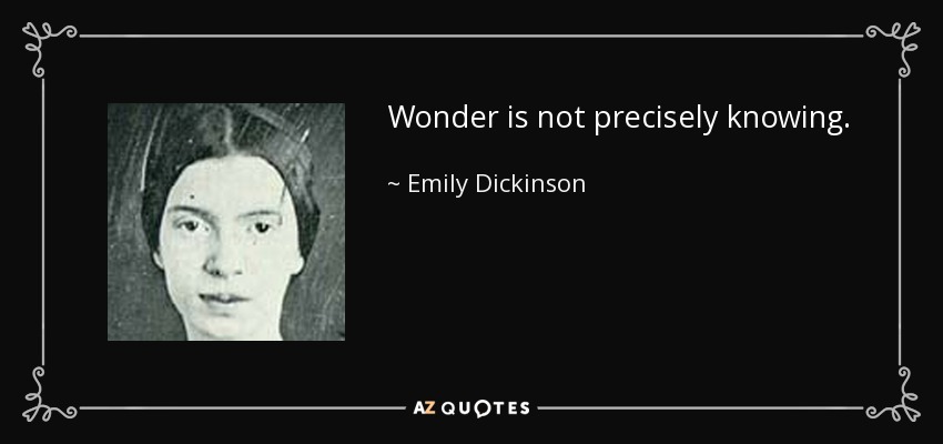 Wonder is not precisely knowing. - Emily Dickinson