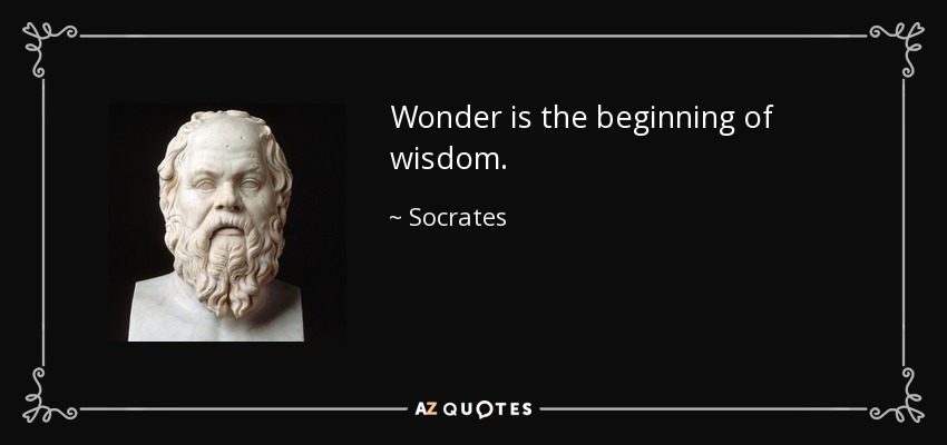 Wonder is the beginning of wisdom. - Socrates