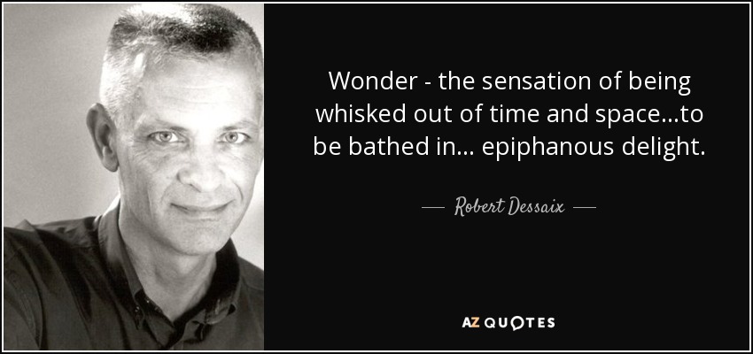 Wonder - the sensation of being whisked out of time and space...to be bathed in ... epiphanous delight. - Robert Dessaix