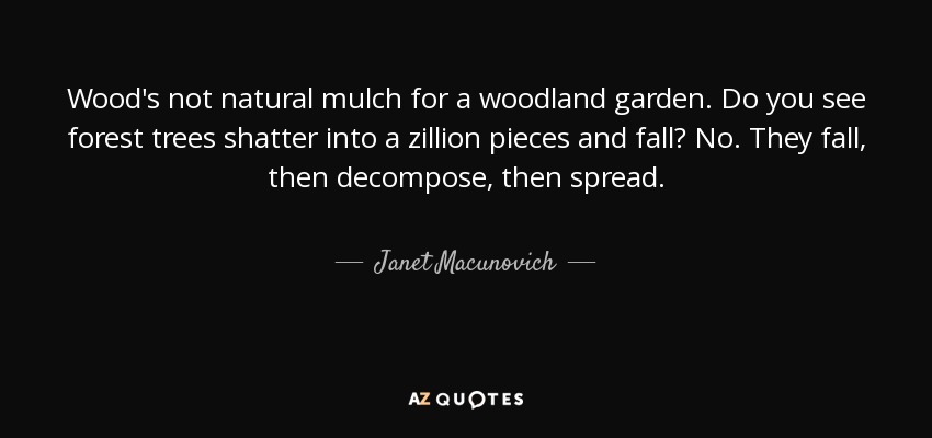 Wood's not natural mulch for a woodland garden. Do you see forest trees shatter into a zillion pieces and fall? No. They fall, then decompose, then spread. - Janet Macunovich