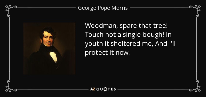 Woodman, spare that tree! Touch not a single bough! In youth it sheltered me, And I'll protect it now. - George Pope Morris