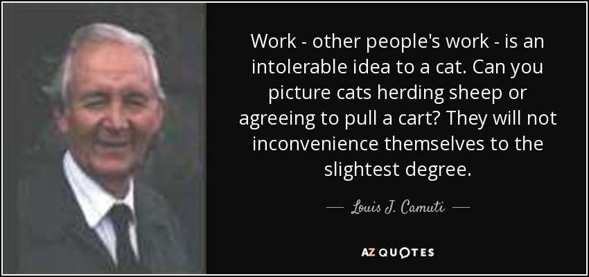 Work - other people's work - is an intolerable idea to a cat. Can you picture cats herding sheep or agreeing to pull a cart? They will not inconvenience themselves to the slightest degree. - Louis J. Camuti