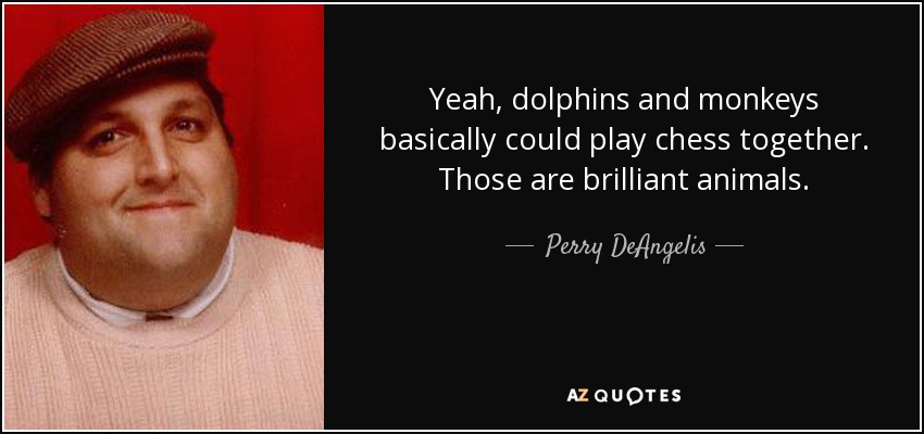 Yeah, dolphins and monkeys basically could play chess together. Those are brilliant animals. - Perry DeAngelis