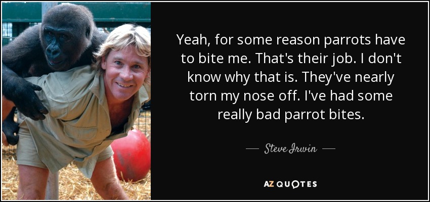 Yeah, for some reason parrots have to bite me. That's their job. I don't know why that is. They've nearly torn my nose off. I've had some really bad parrot bites. - Steve Irwin