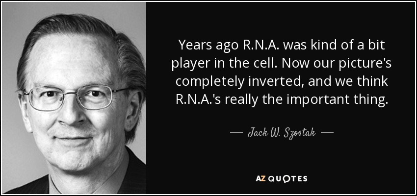 Years ago R.N.A. was kind of a bit player in the cell. Now our picture's completely inverted, and we think R.N.A.'s really the important thing. - Jack W. Szostak