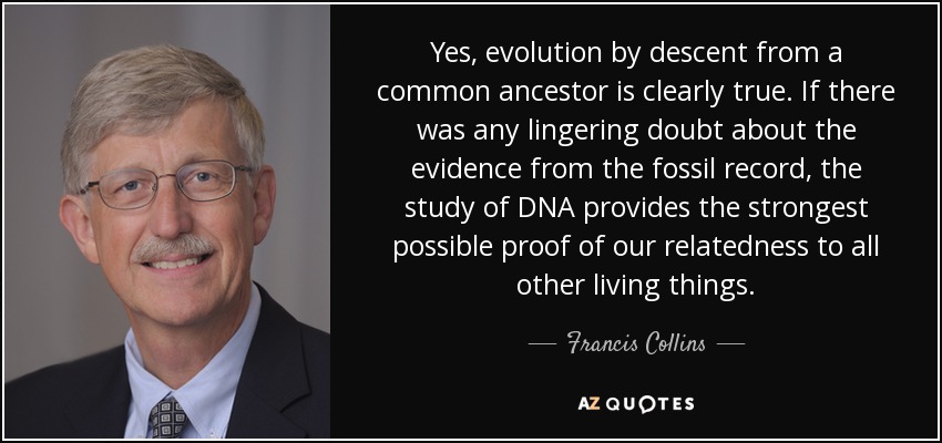 Yes, evolution by descent from a common ancestor is clearly true. If there was any lingering doubt about the evidence from the fossil record, the study of DNA provides the strongest possible proof of our relatedness to all other living things. - Francis Collins