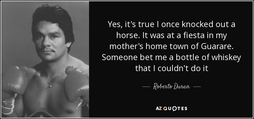 Yes, it's true I once knocked out a horse. It was at a fiesta in my mother's home town of Guarare. Someone bet me a bottle of whiskey that I couldn't do it - Roberto Duran