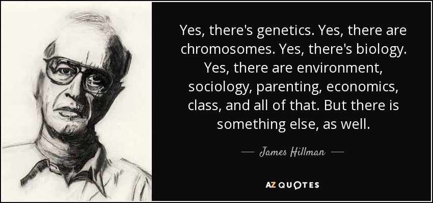 Yes, there's genetics. Yes, there are chromosomes. Yes, there's biology. Yes, there are environment, sociology, parenting, economics, class, and all of that. But there is something else, as well. - James Hillman