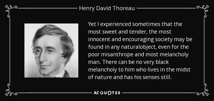 Yet I experienced sometimes that the most sweet and tender, the most innocent and encouraging society may be found in any naturalobject, even for the poor misanthrope and most melancholy man. There can be no very black melancholy to him who lives in the midst of nature and has his senses still. - Henry David Thoreau