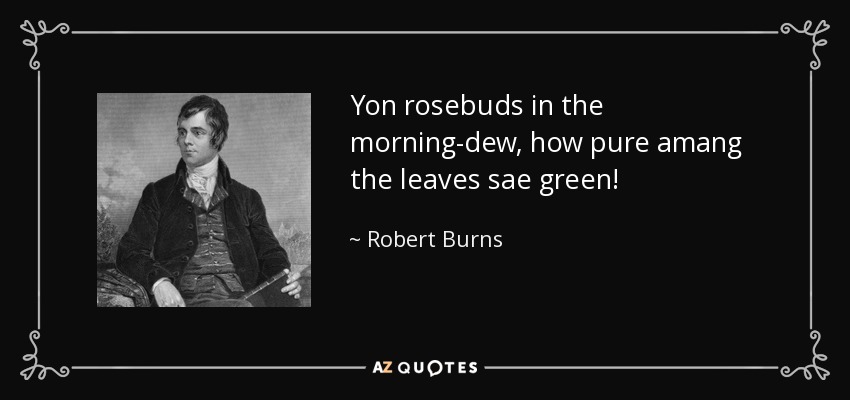 Yon rosebuds in the morning-dew, how pure amang the leaves sae green! - Robert Burns