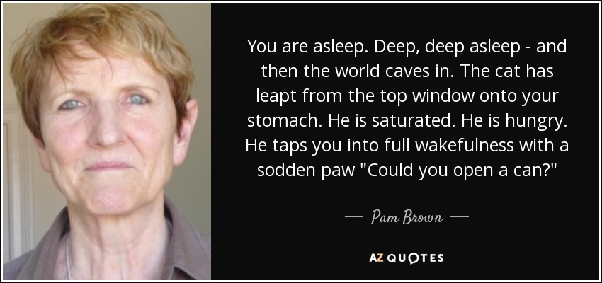 You are asleep. Deep, deep asleep - and then the world caves in. The cat has leapt from the top window onto your stomach. He is saturated. He is hungry. He taps you into full wakefulness with a sodden paw 