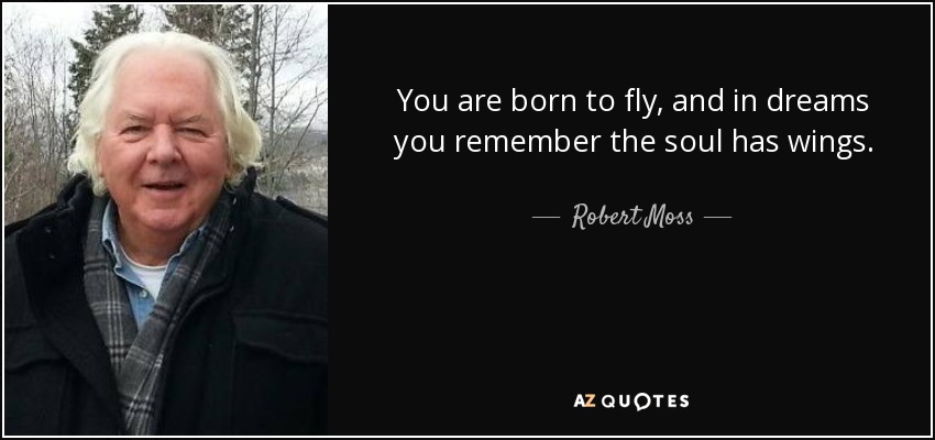 You are born to fly, and in dreams you remember the soul has wings. - Robert Moss