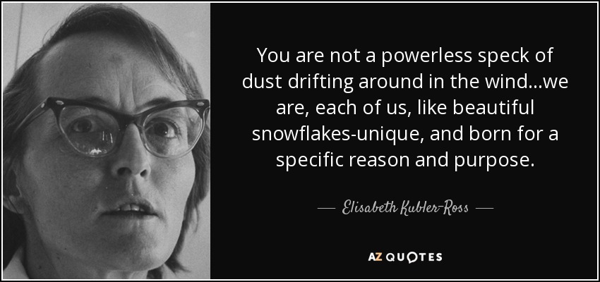 You are not a powerless speck of dust drifting around in the wind...we are, each of us, like beautiful snowflakes-unique, and born for a specific reason and purpose. - Elisabeth Kubler-Ross