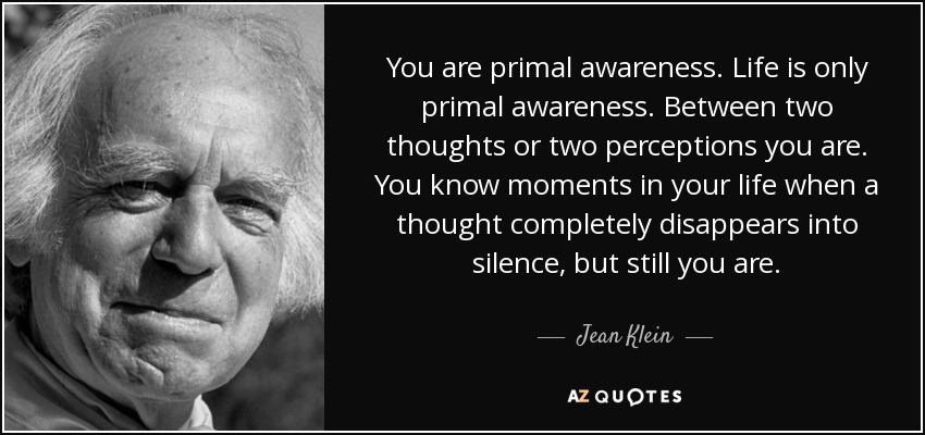 You are primal awareness. Life is only primal awareness. Between two thoughts or two perceptions you are. You know moments in your life when a thought completely disappears into silence, but still you are. - Jean Klein