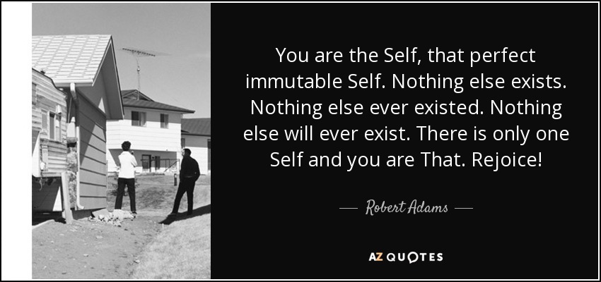 You are the Self, that perfect immutable Self. Nothing else exists. Nothing else ever existed. Nothing else will ever exist. There is only one Self and you are That. Rejoice! - Robert Adams