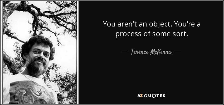 You aren't an object. You're a process of some sort. - Terence McKenna