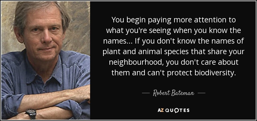 You begin paying more attention to what you're seeing when you know the names... If you don't know the names of plant and animal species that share your neighbourhood, you don't care about them and can't protect biodiversity. - Robert Bateman