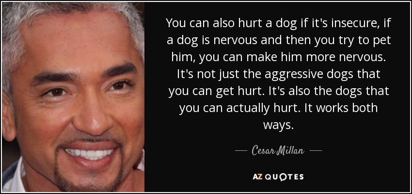 You can also hurt a dog if it's insecure, if a dog is nervous and then you try to pet him, you can make him more nervous. It's not just the aggressive dogs that you can get hurt. It's also the dogs that you can actually hurt. It works both ways. - Cesar Millan