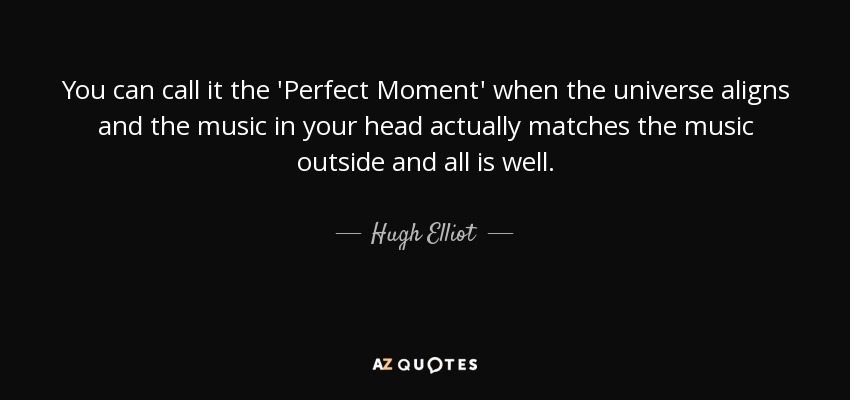 You can call it the 'Perfect Moment' when the universe aligns and the music in your head actually matches the music outside and all is well. - Hugh Elliot
