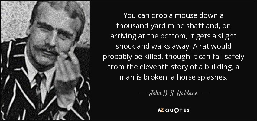 You can drop a mouse down a thousand-yard mine shaft and, on arriving at the bottom, it gets a slight shock and walks away. A rat would probably be killed, though it can fall safely from the eleventh story of a building, a man is broken, a horse splashes. - John B. S. Haldane