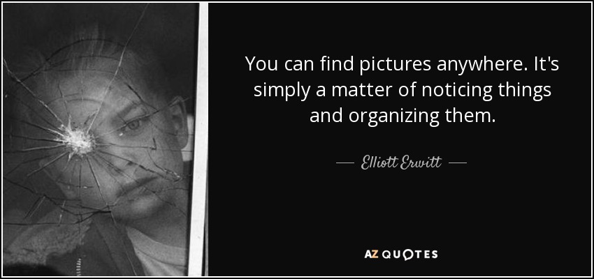 You can find pictures anywhere. It's simply a matter of noticing things and organizing them. - Elliott Erwitt