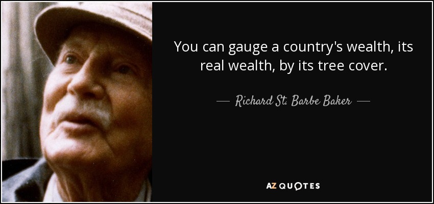 You can gauge a country's wealth, its real wealth, by its tree cover. - Richard St. Barbe Baker